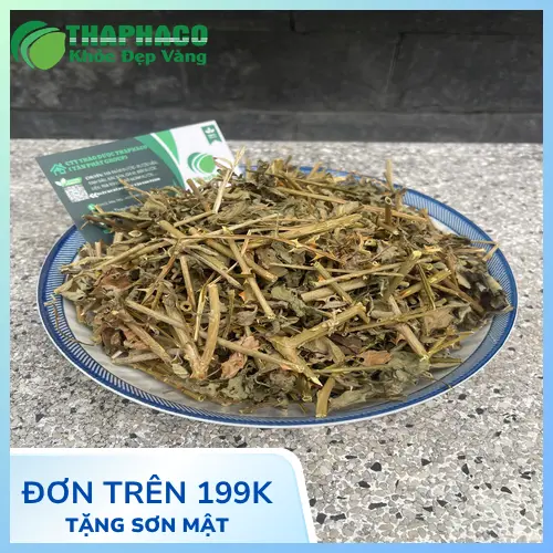 Cách bảo quản cà gai leo khô đúng cách