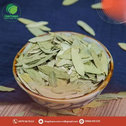 Phan tả diệp khô chất lượng cao sẵn sàng đến tay khách hàng