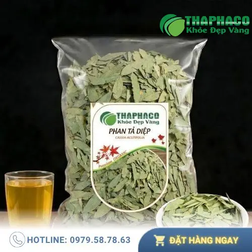 Thảo Dược Tấn Phát - Địa chỉ uy tín cung cấp thảo dược