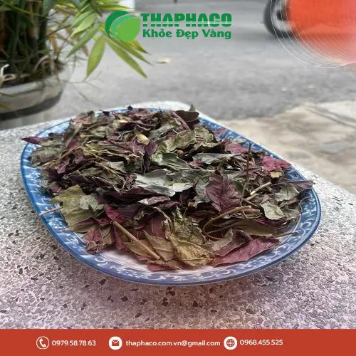 Sản phẩm đơn lá đỏ khô chất lượng của Thảo Dược Tấn Phát