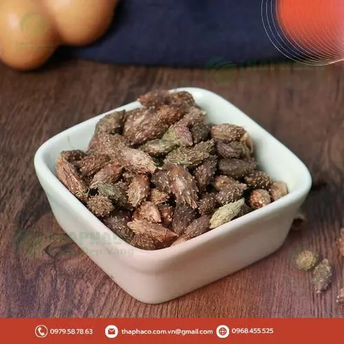 Ké đầu ngựa sấy khô chất lượng cao từ Thảo Dược Tấn Phát