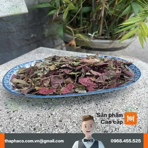 Kho chứa thảo dược khô đạt chuẩn của Thảo Dược Tấn Phát