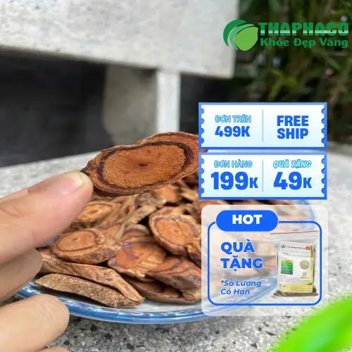 Kê huyết đằng - dược liệu bổ huyết thông kinh lạc