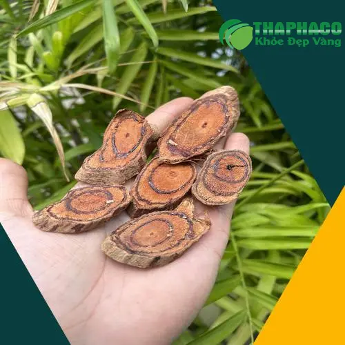 Kê Huyết Đằng đóng gói thành phẩm tại Thảo Dược Tấn Phát