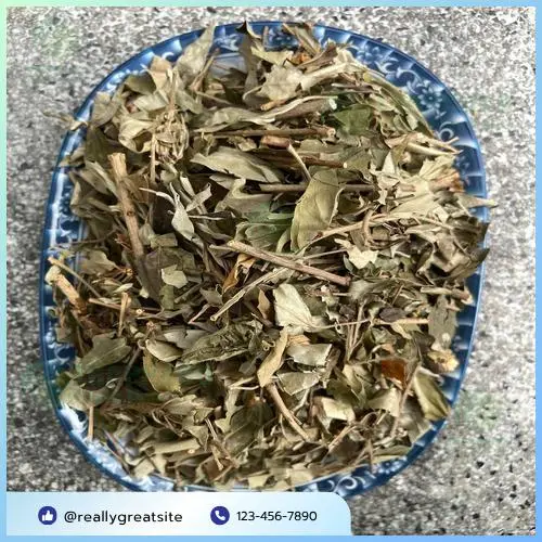 Lựa chọn khổ sâm chất lượng từ Thảo Dược Tấn Phát