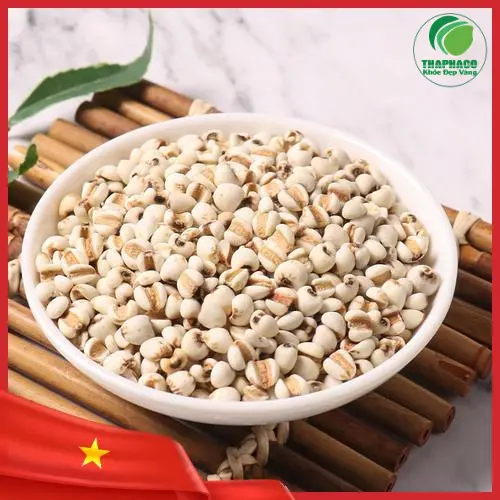 Ý dĩ Thảo Dược Tấn Phát - cam kết chất lượng