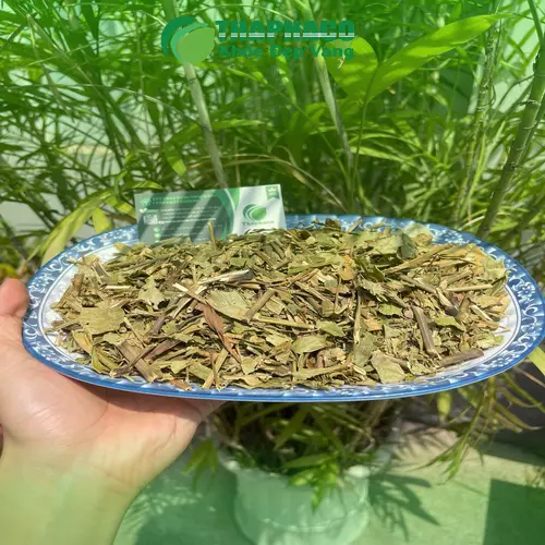 Thảo Dược Tấn Phát cung cấp hoàn ngọc khô với giấy tờ đầy đủ