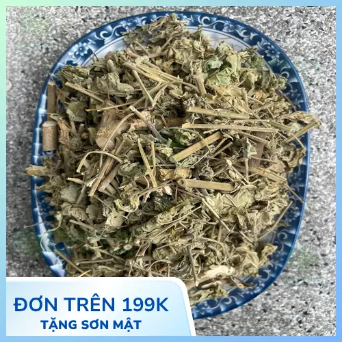 Hình ảnh cây cối xay tươi, nguồn gốc tự nhiên