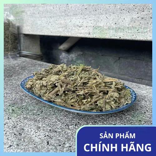 Kiểm Định Chất Lượng Cây Cối Xay Sấy Khô