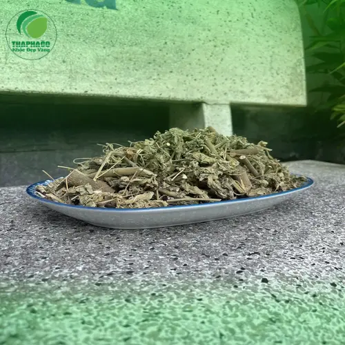 Quy trình phơi khô cây cối xay tự nhiên, giữ nguyên dược tính