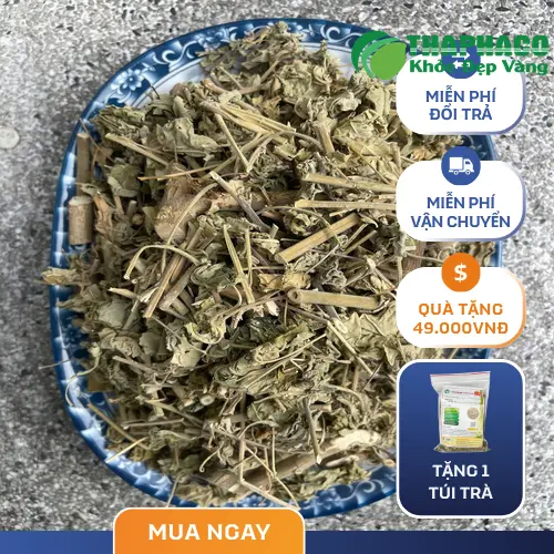 Cận cảnh quả cây cối xay đã khô
