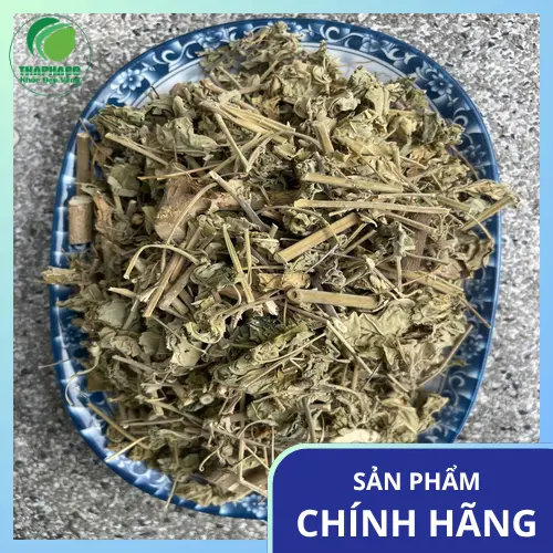 Trà cây cối xay khô, một giải pháp tự nhiên và tiện lợi cho sức khỏe.