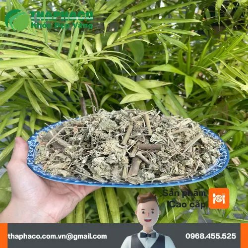 Cận cảnh các bộ phận của cây cối xay khô đã được thái lát sẵn sàng sử dụng