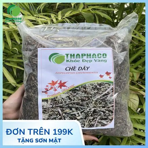 Hình ảnh cây chè dây mọc tự nhiên