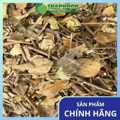 Chè vằng khô nguyên chất từ Thảo Dược Tấn Phát