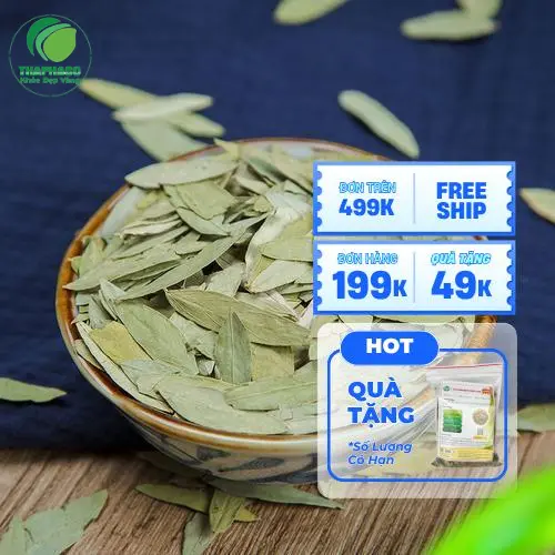 Pha chế Phan Tả Diệp THAPHACO đúng cách giúp hệ tiêu hóa khỏe mạnh