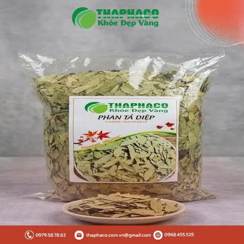 Phan Tả Diệp khô nguyên chất tại Thảo Dược Tấn Phát