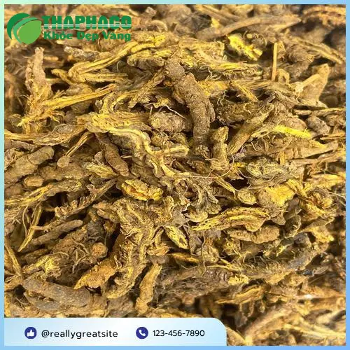 Hoàng liên sấy khô đạt chuẩn chất lượng cao tại Thảo Dược Tấn Phát