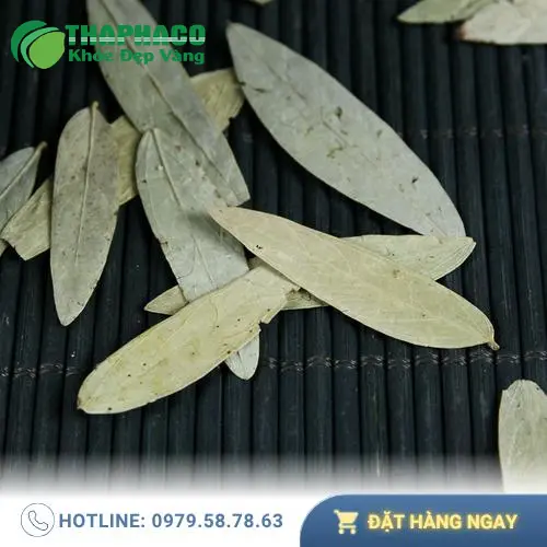 Hình ảnh Phan Tả Diệp khô chất lượng tại Thảo Dược Tấn Phát
