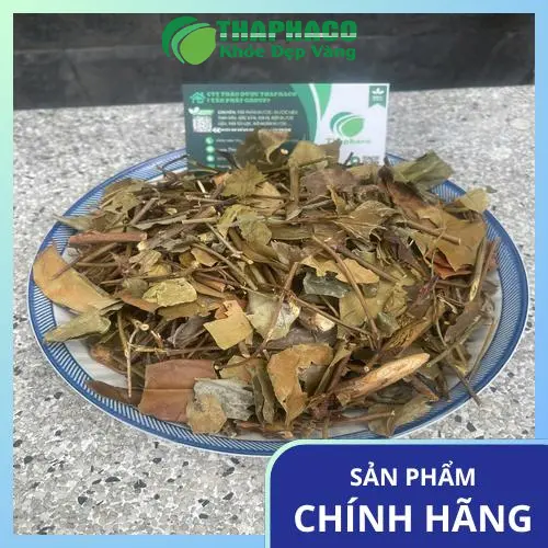 Hình ảnh chè vằng khô chất lượng tại Thảo Dược Tấn Phát