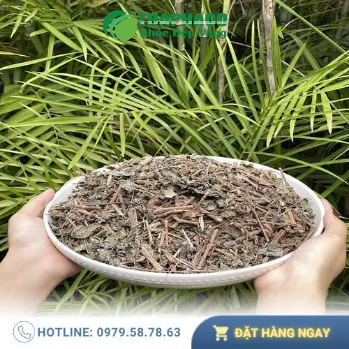 Quy trình sản xuất Chè Dây Khô Thảo Dược Tấn Phát