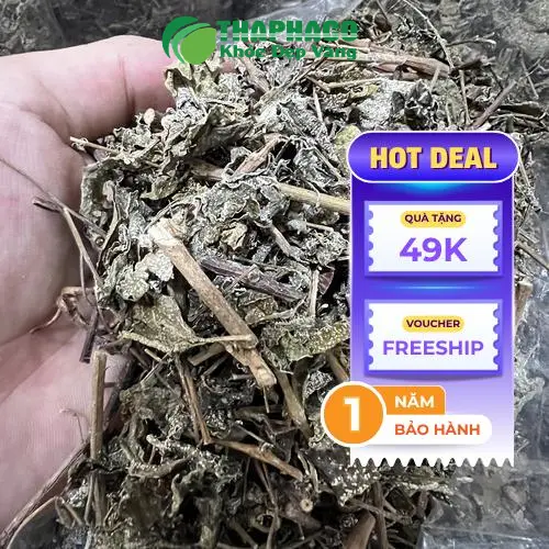 Chè Dây giúp hỗ trợ giảm viêm loét dạ dày và trào ngược axit