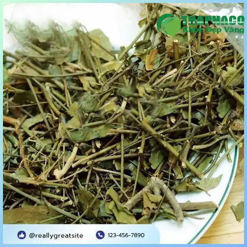 Chè vằng sấy khô tự nhiên giữ trọn dược tính