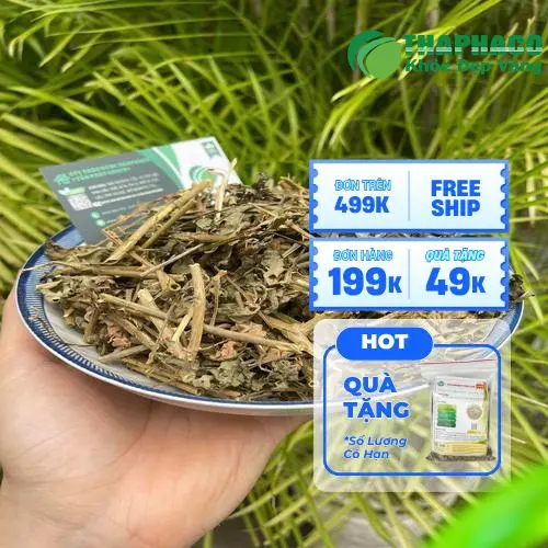 Quá trình sấy khô thảo dược đảm bảo chất lượng