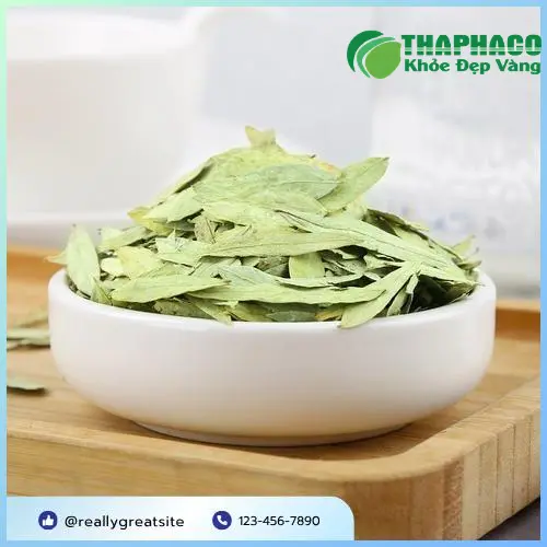 Bảo quản Phan Tả Diệp THAPHACO nơi khô ráo thoáng mát để giữ chất lượng