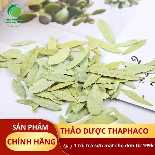 Quy trình sấy khô Phan Tả Diệp hiện đại tại Thảo Dược Tấn Phát