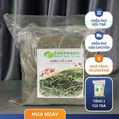 Quy trình sấy khô Giảo Cổ Lam chuyên nghiệp tại Thảo Dược Tấn Phát