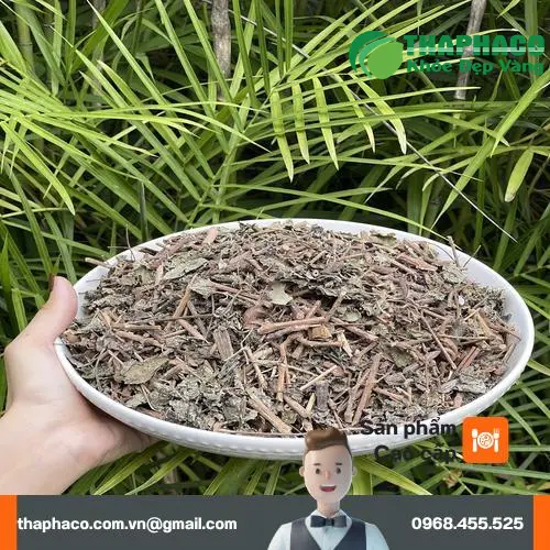 Hình ảnh khách hàng sử dụng chè dây và cải thiện tình trạng dạ dày