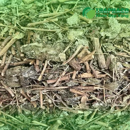 Quy trình đóng gói chè dây tại Thảo Dược Tấn Phát
