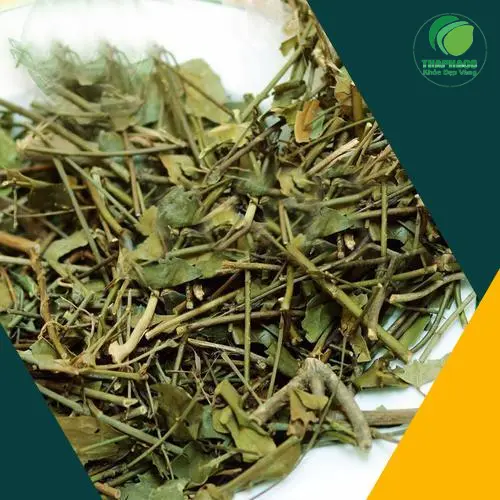 Chè vằng khô Thảo Dược Tấn Phát đóng gói chất lượng cao
