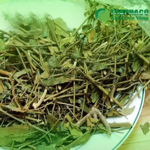 Ly chè vằng thơm mát đã pha sẵn sàng sử dụng