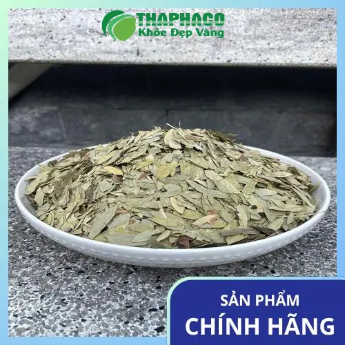 Kho thảo dược khô chất lượng cao của Thảo Dược Tấn Phát tại TP.HCM