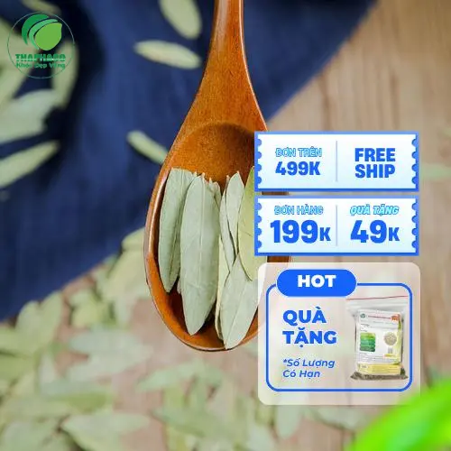Quy trình kiểm tra chất lượng Phan Tả Diệp