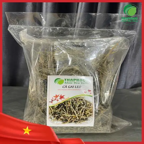 Kho chứa cà gai leo khô đạt chuẩn vệ sinh an toàn