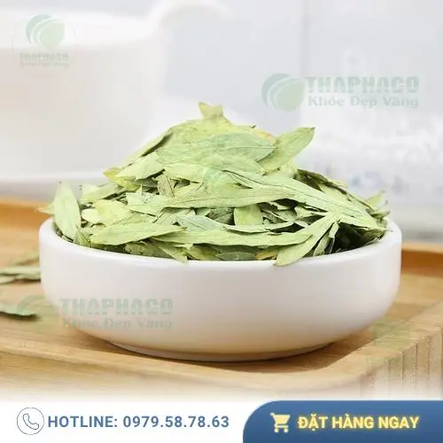 Pha trà Phan Tả Diệp đúng cách để đạt hiệu quả tốt nhất