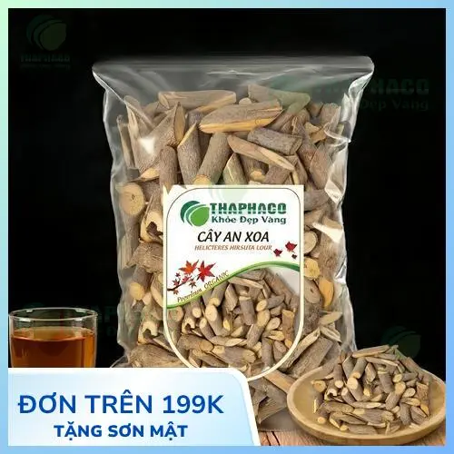 Cách bảo quản cây an xoa khô để giữ dược tính lâu dài