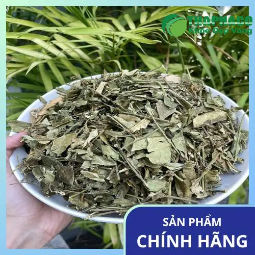 Dây thìa canh sau khi sấy khô đảm bảo chất lượng