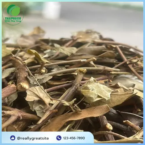 Người huyết áp thấp cần thận trọng khi dùng chè vằng