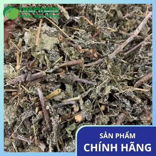 Sợi chè dây khô chất lượng cao của Thảo Dược Tấn Phát