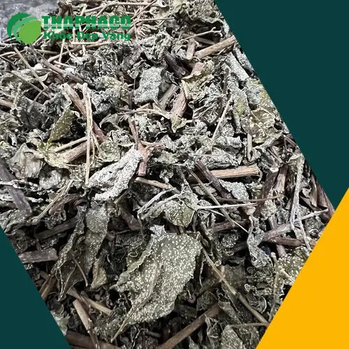 Cách pha Chè Dây đúng cách để phát huy tối đa công dụng