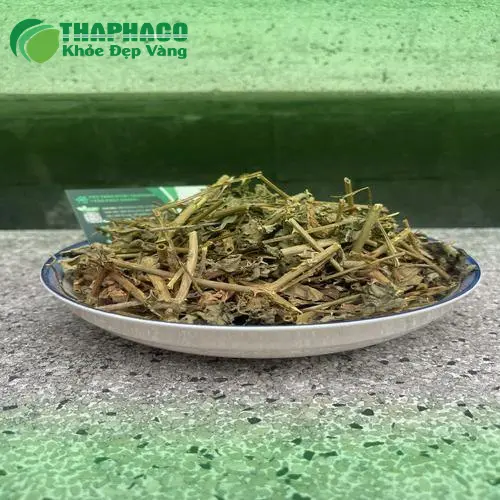 Sản phẩm cà gai leo khô đóng gói cẩn thận