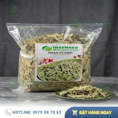 Đội ngũ chuyên gia Thảo Dược Tấn Phát tận tâm tư vấn khách hàng
