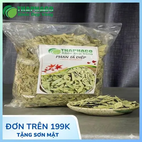 Phan Tả Diệp được đóng gói kỹ lưỡng tại Tấn Phát