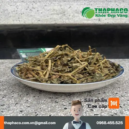 Đóng gói cà gai leo khô cẩn thận, chuyên nghiệp