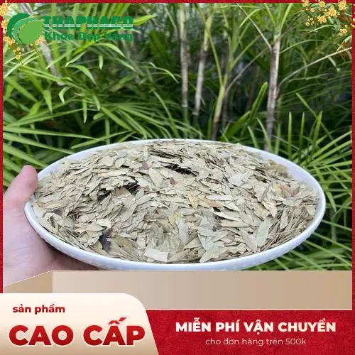 Bảo quản Phan Tả Diệp trong hũ kín, tránh ẩm mốc và ánh nắng
