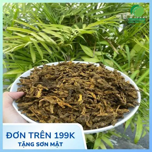 Đảm bảo chất lượng thảo dược khô tại Thảo Dược Tấn Phát